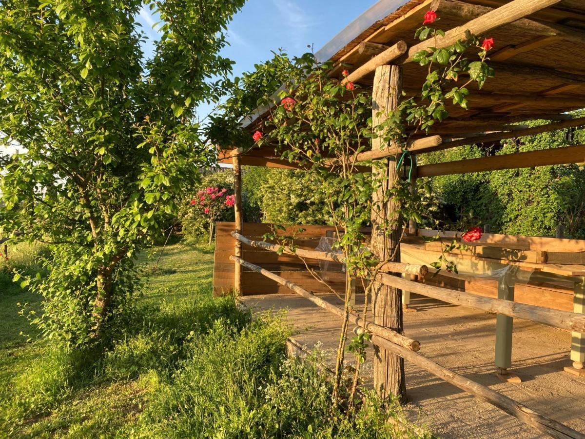 Podere Delle Rose Torre San Severo Esterno foto