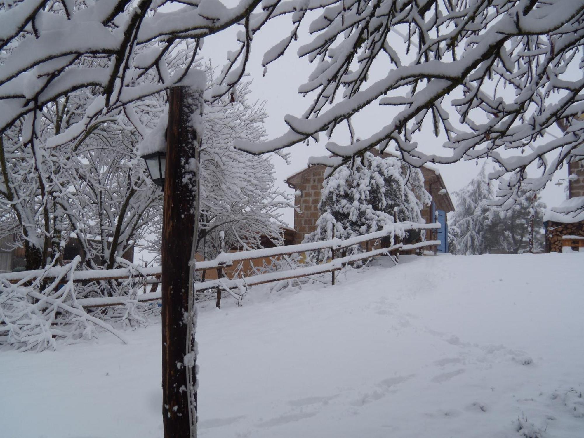 Podere Delle Rose Torre San Severo Esterno foto