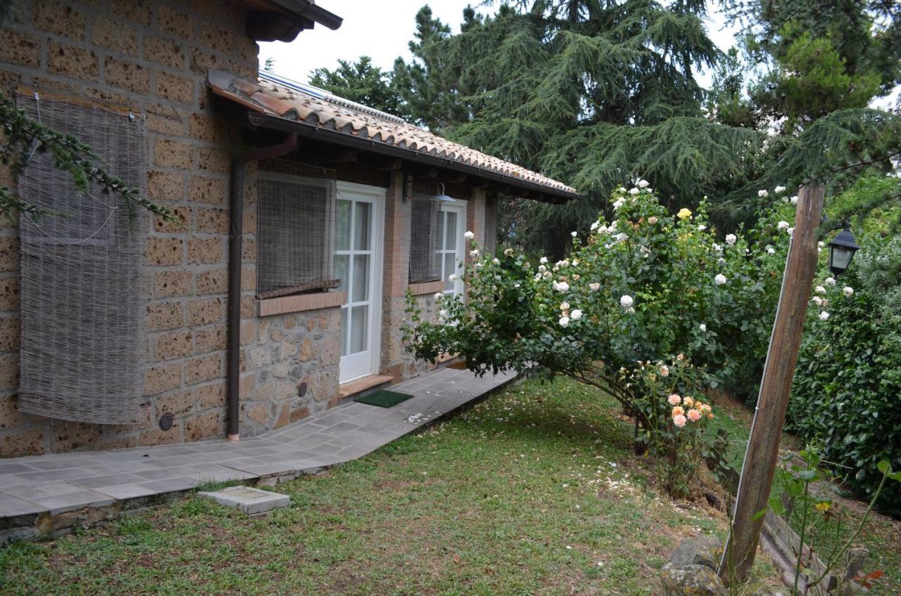 Podere Delle Rose Torre San Severo Esterno foto